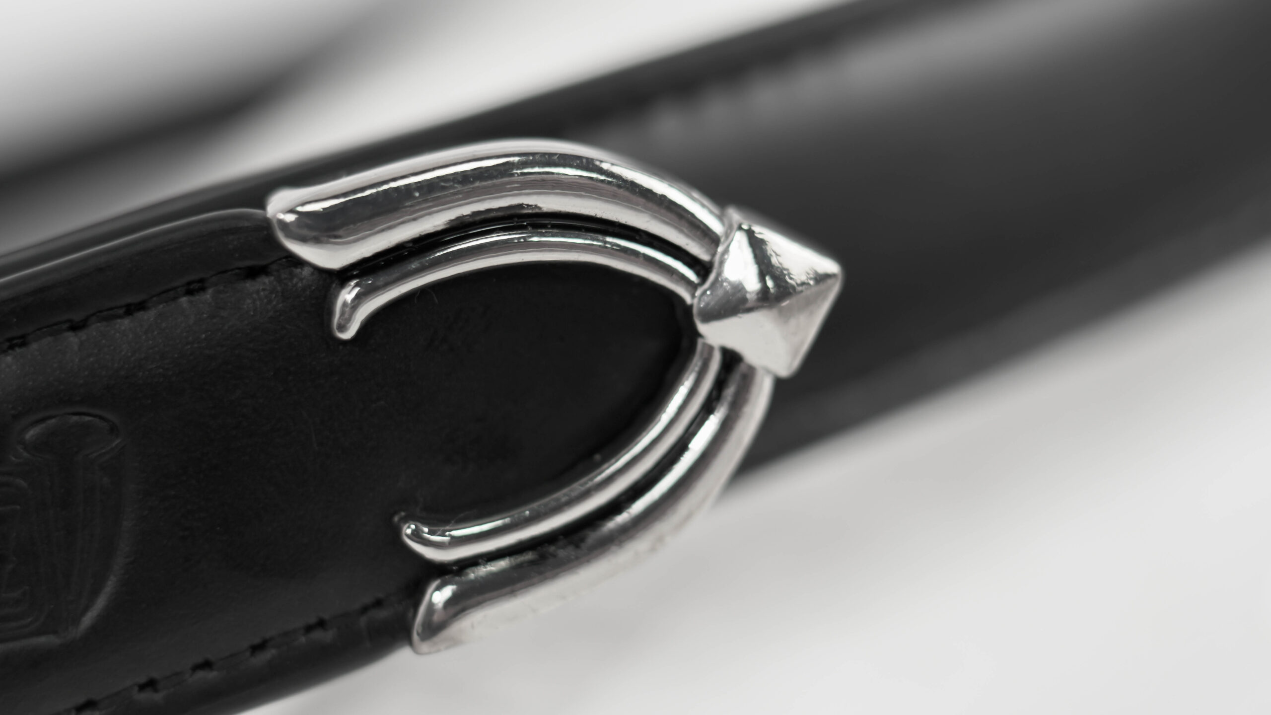 CROSS BELT 2.5cm - Ảnh 4